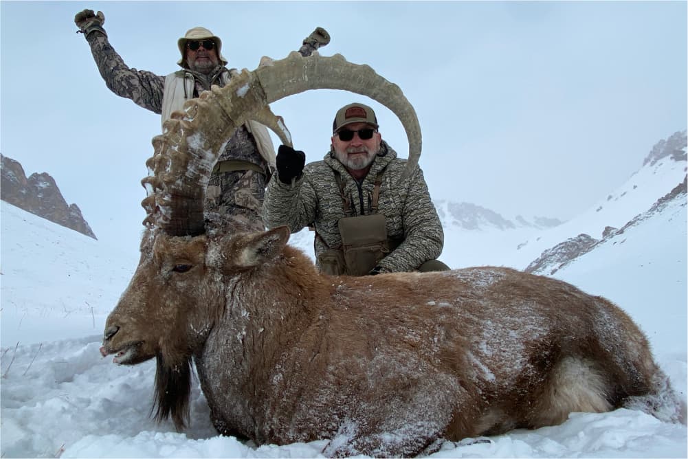 Pamir ibex hunting trophy