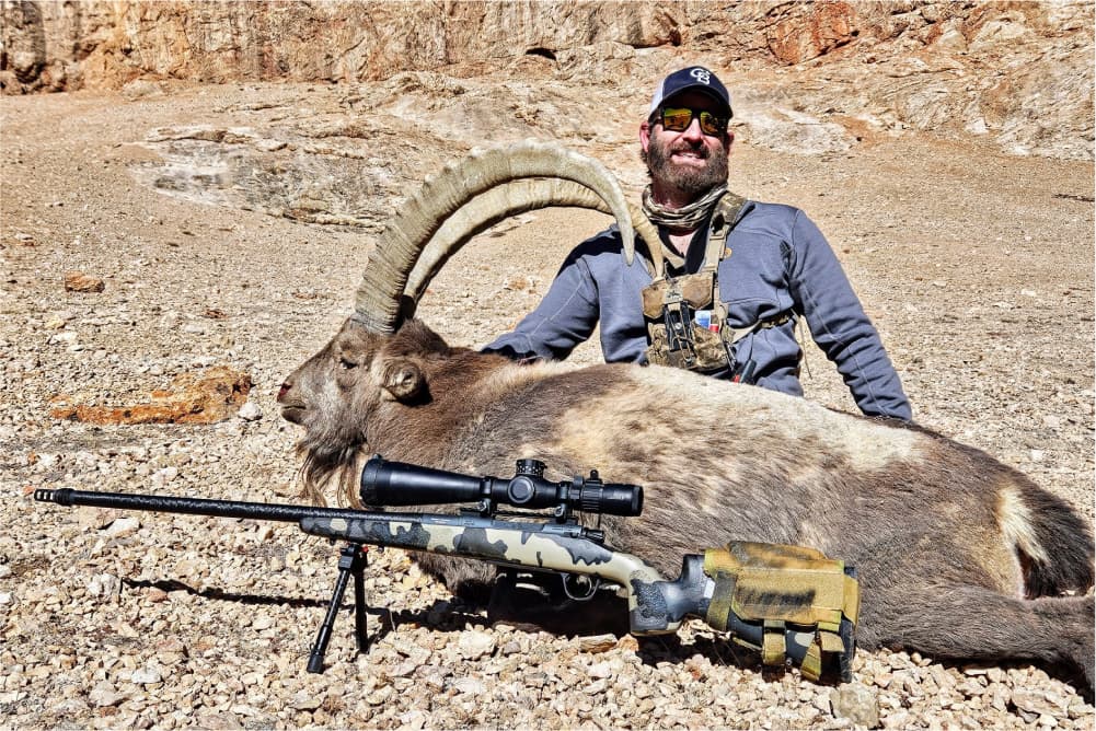 Pamir ibex hunting trophy