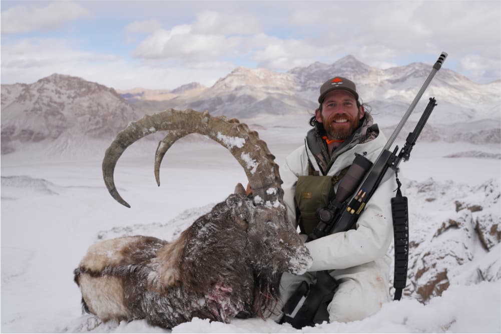 Pamir ibex hunting trophy