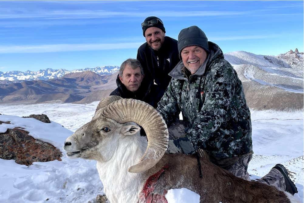 Marco Polo argali hunting trophy