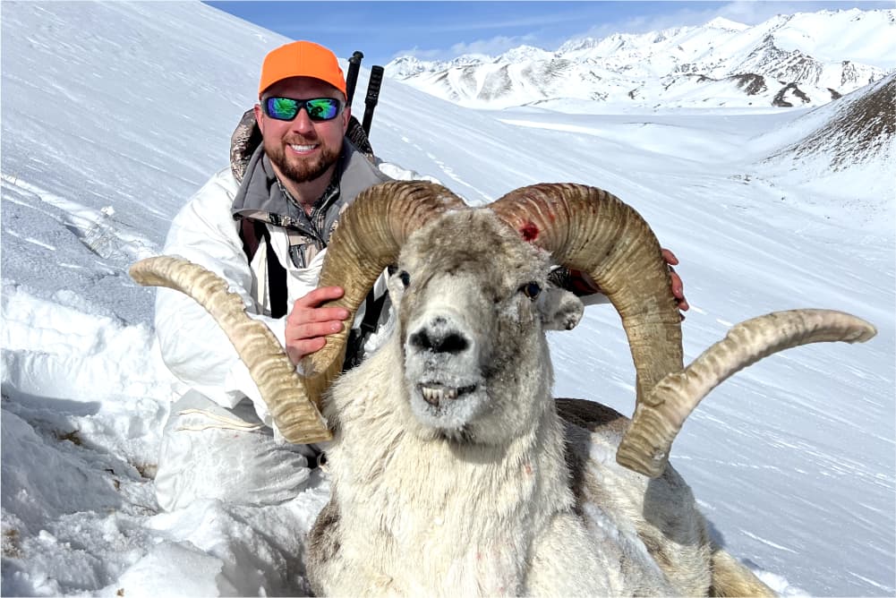 Marco Polo argali hunting trophy