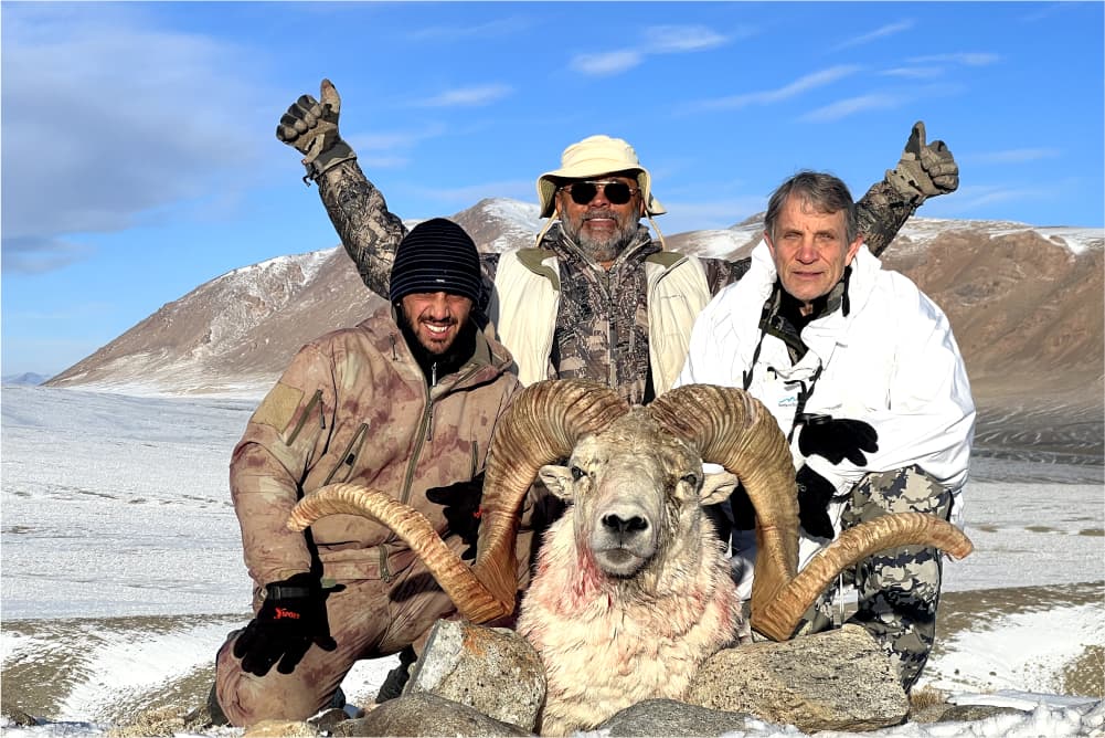 Marco Polo argali hunting trophy