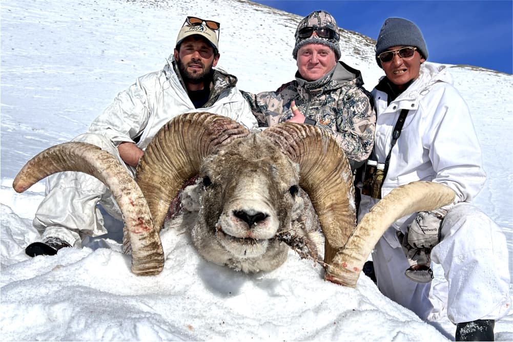 Marco Polo argali hunting trophy