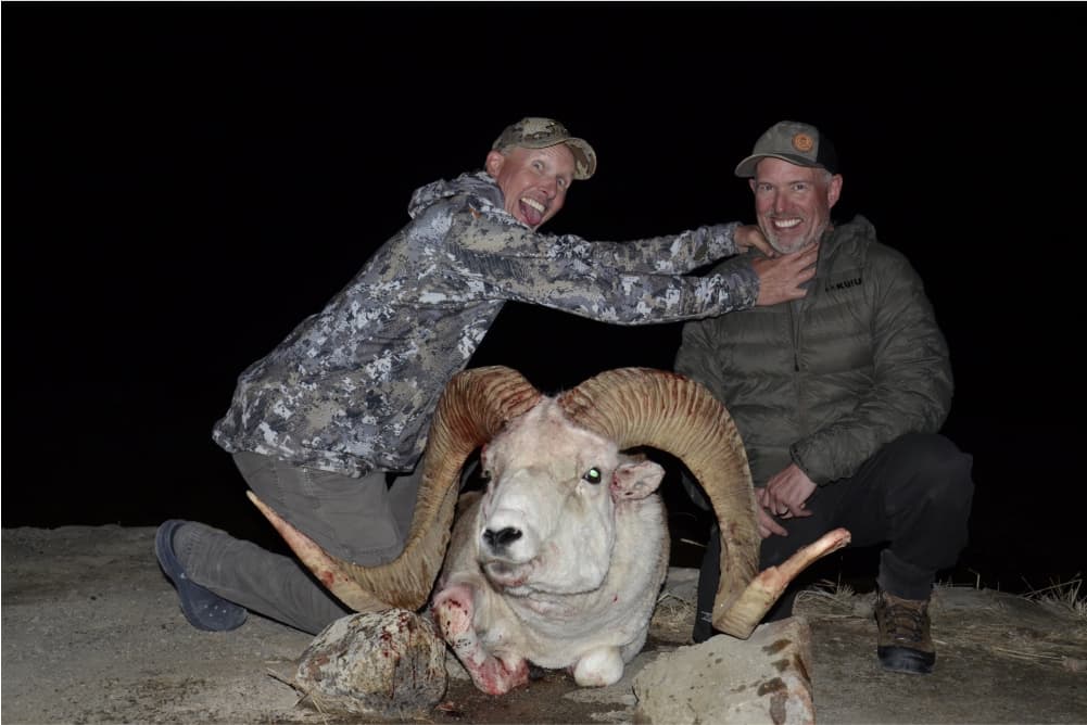 Marco Polo argali hunting trophy