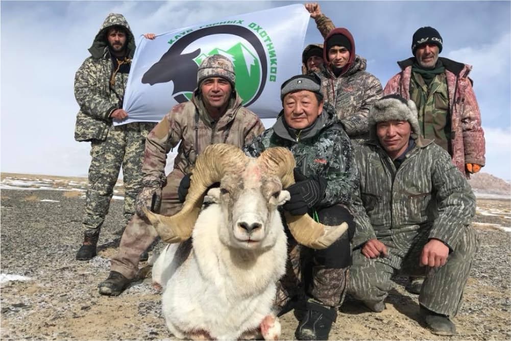 Marco Polo argali hunting trophy