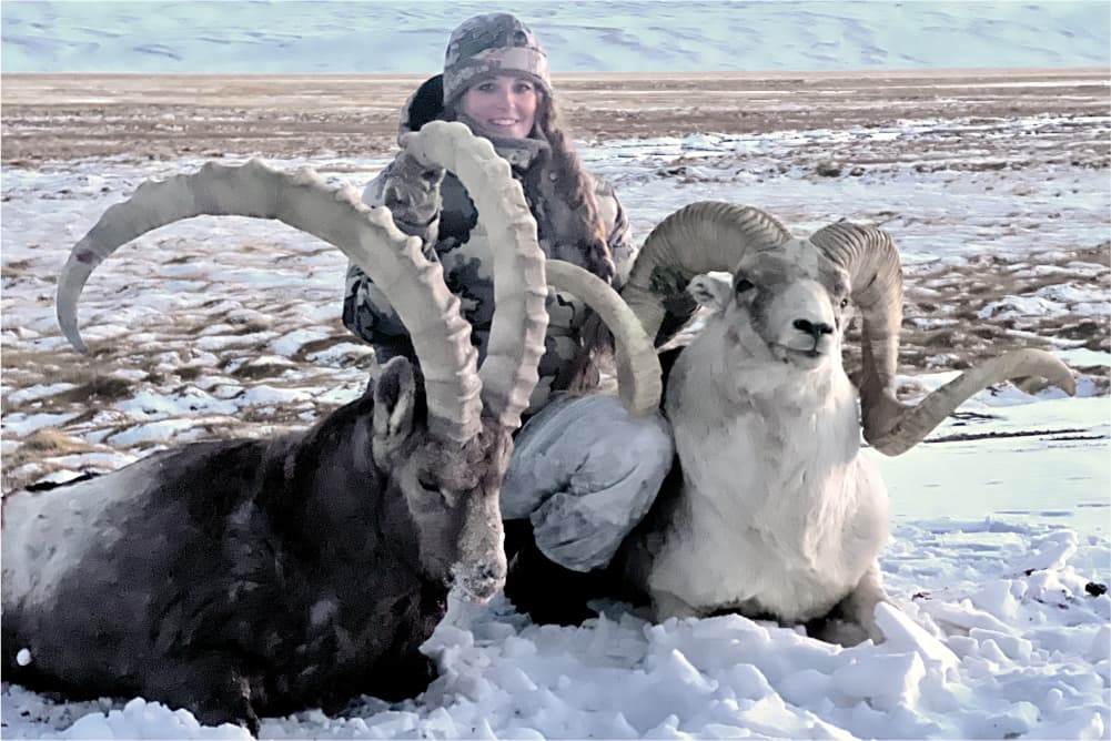 Ibex and Marco Polo hunting trophies