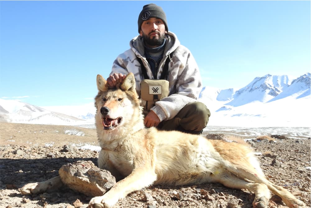 Wolf hunting trophy
