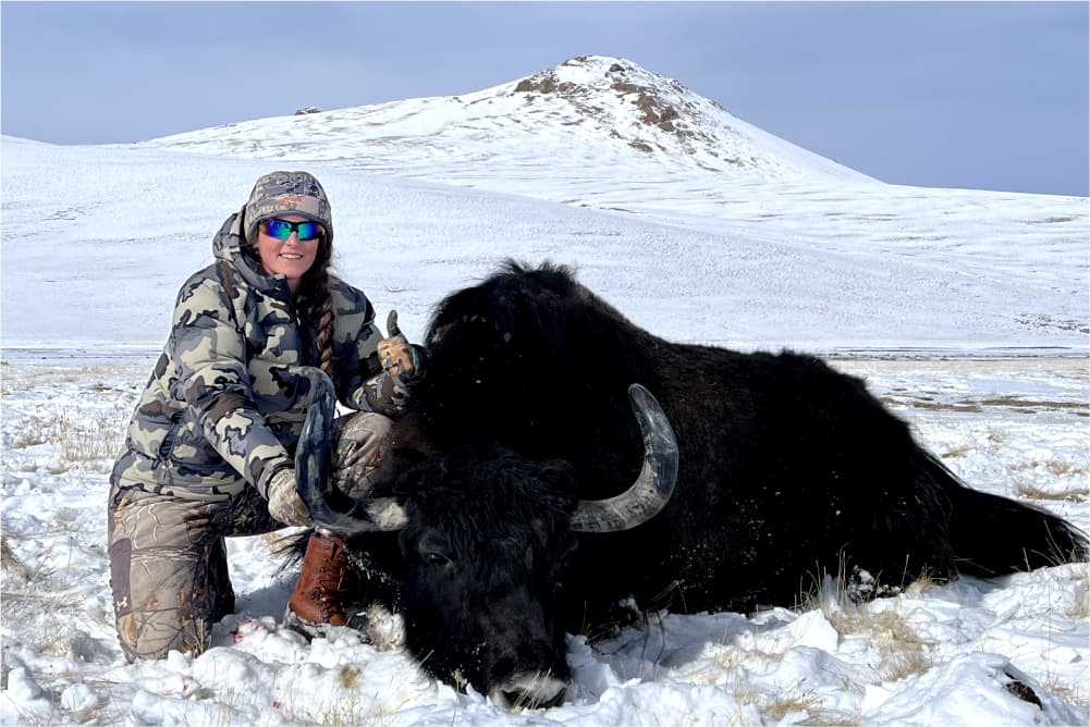 Yak hunting trophy