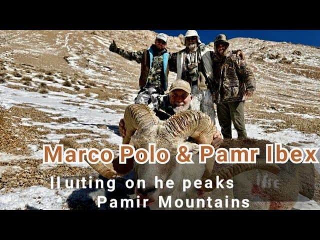 Marco Polo sheep and Pamir ibex in the rugged heights of the Pamir Mountains